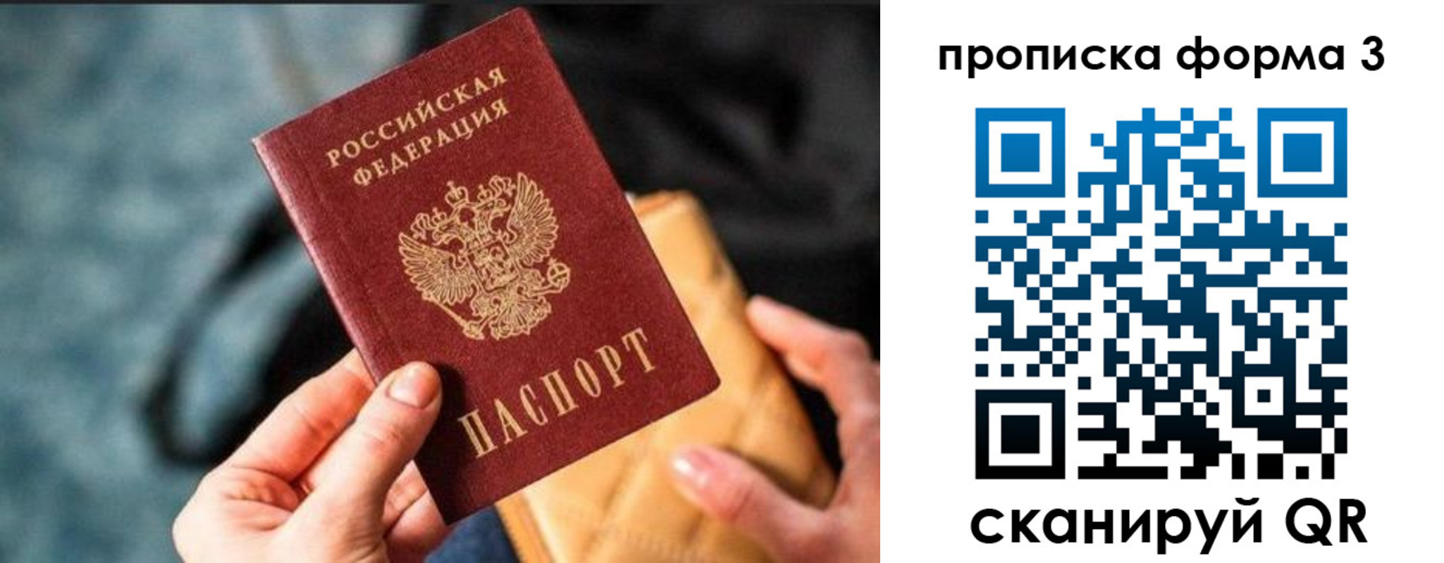 прописка гарантия в Приморском крае